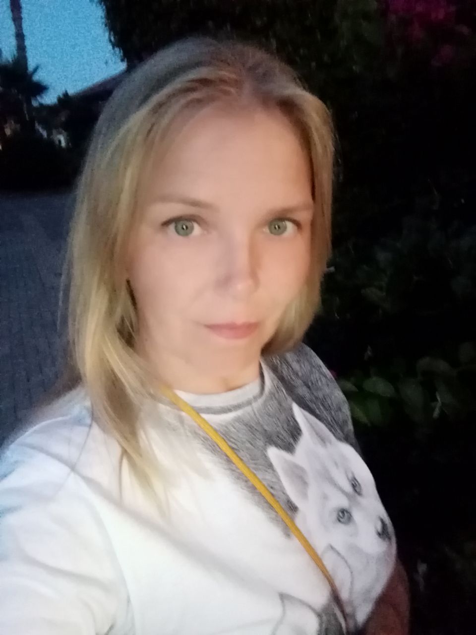 Заголовок